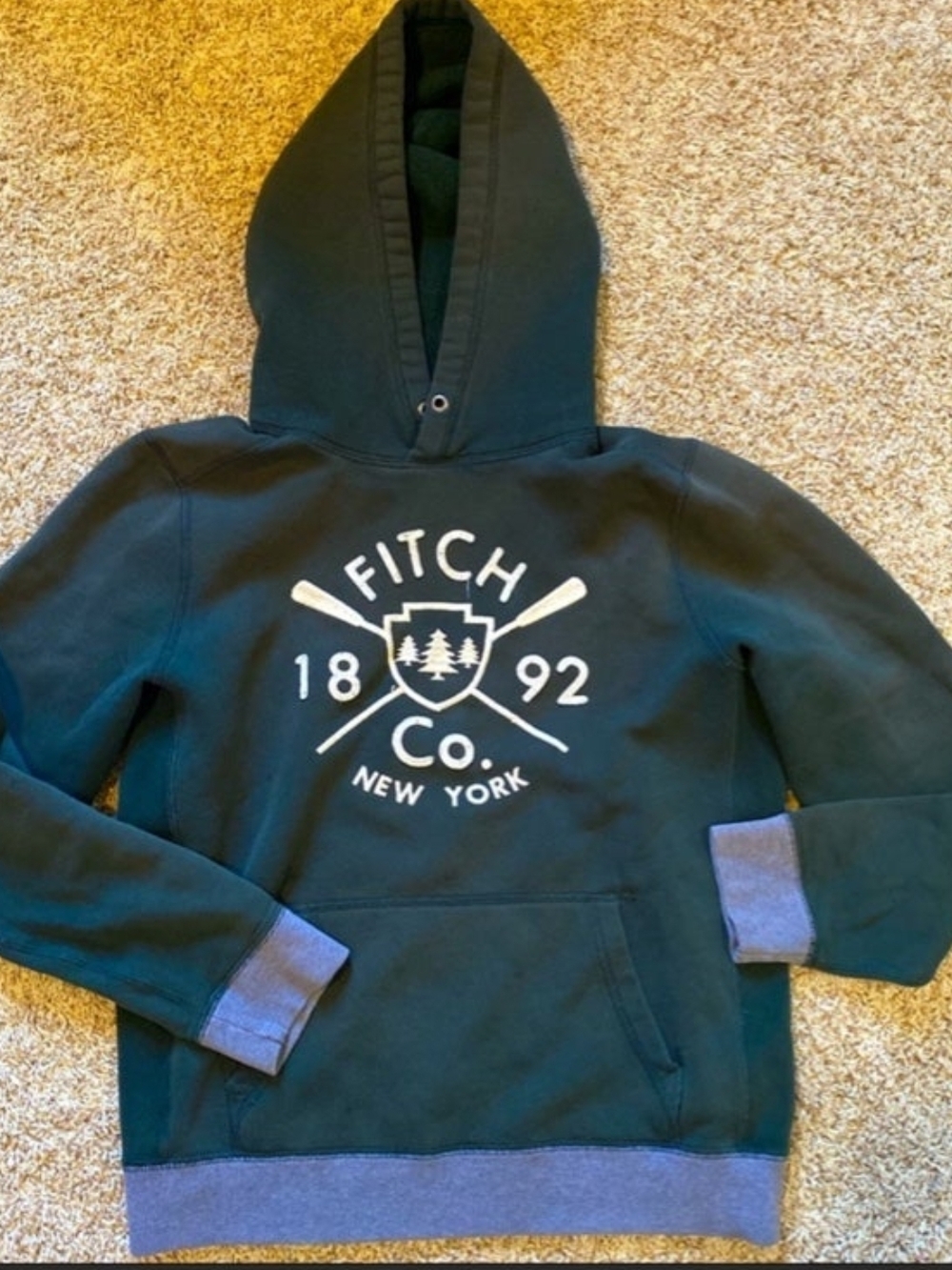 Abercrombie & Fitch Mens Medium Hoodie Unisex